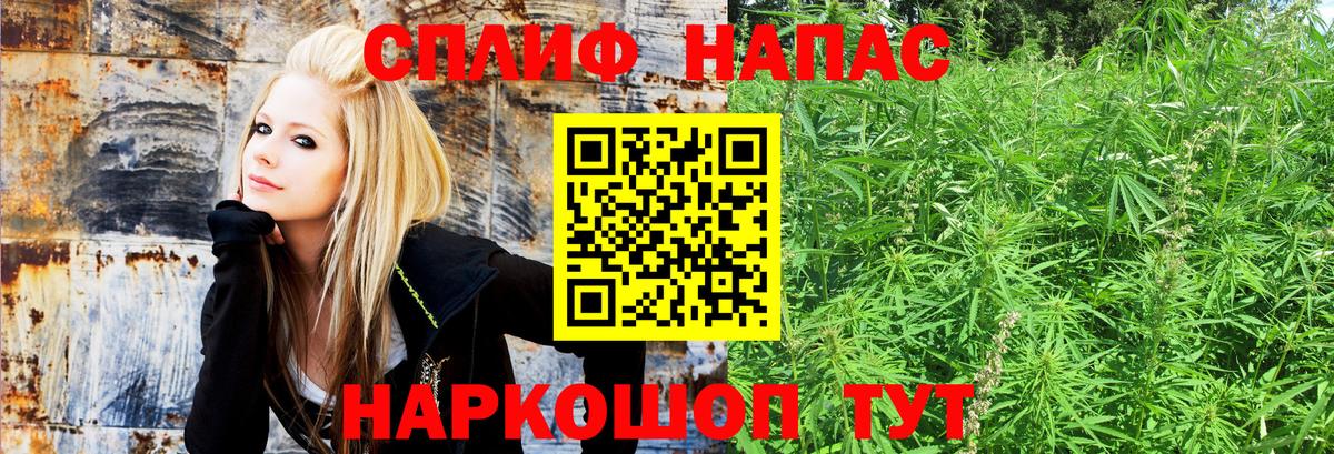 Бошки марихуана VHQ Тобольск